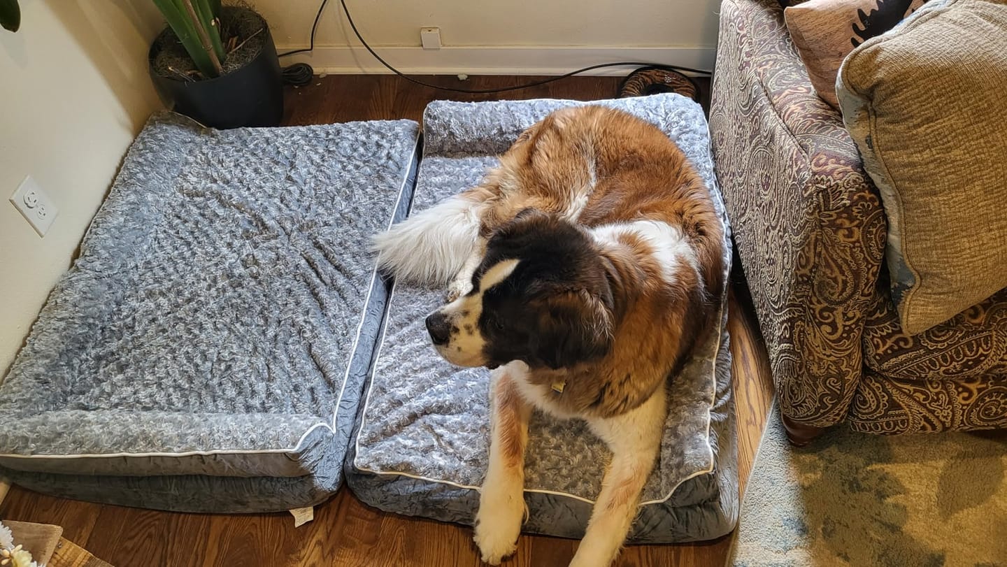 Customer photo review of The Big Loll