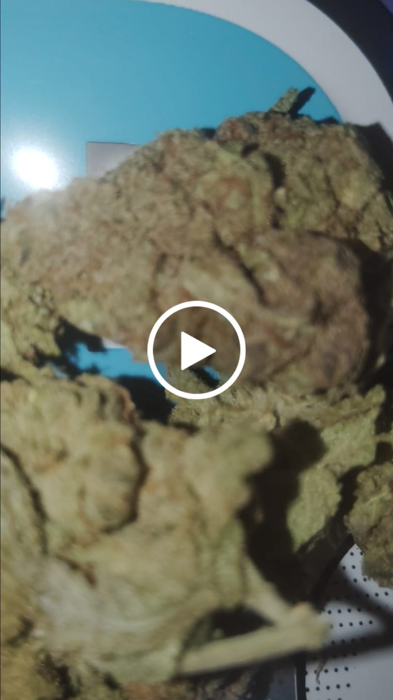Customer video review of Blueberry Lemon Bars - Indoor - 14 Grams - Hybrid
