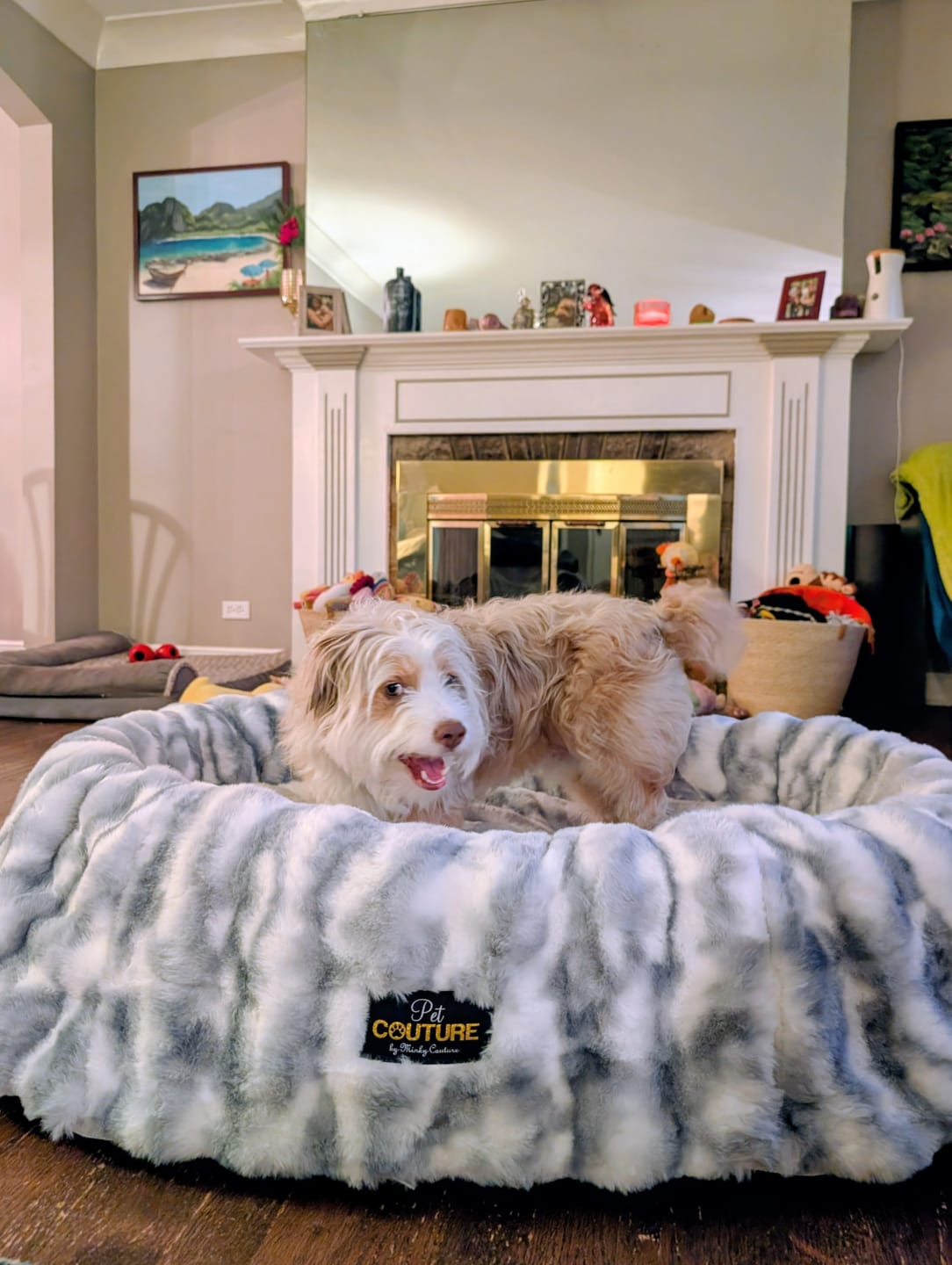 Customer photo review of Cloudy Day Blue Pet Bed