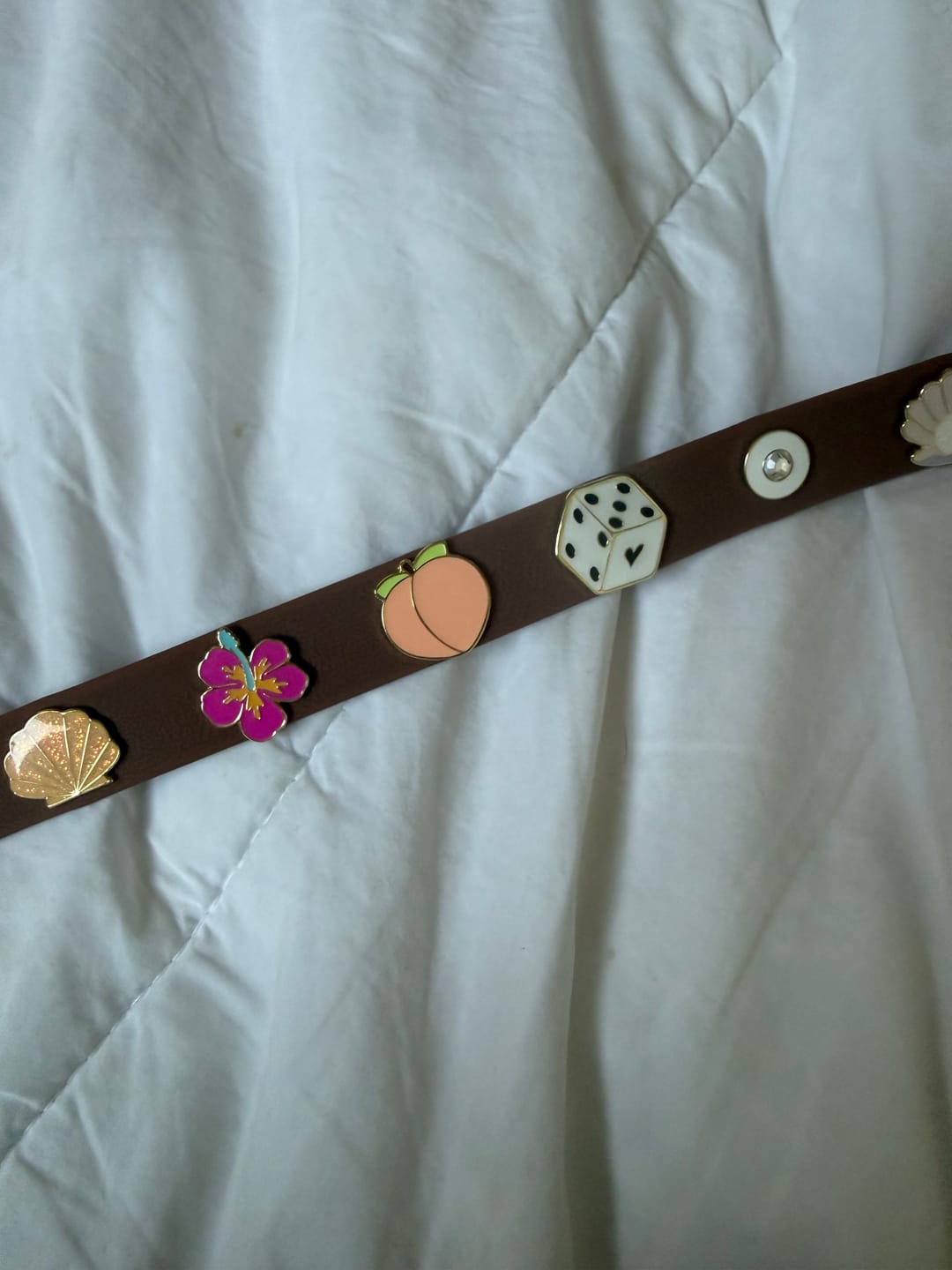Customer photo review of Moodies 4-in-1 Leash