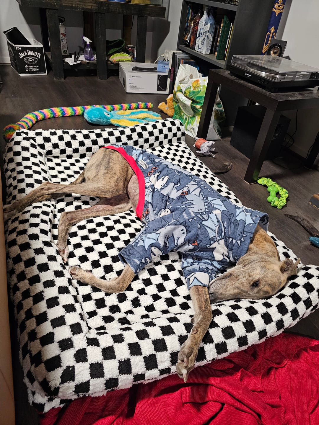 Customer photo review of Orthopedic Dog Bed Pet Mat Calming Checkered Plush Sofa Washable