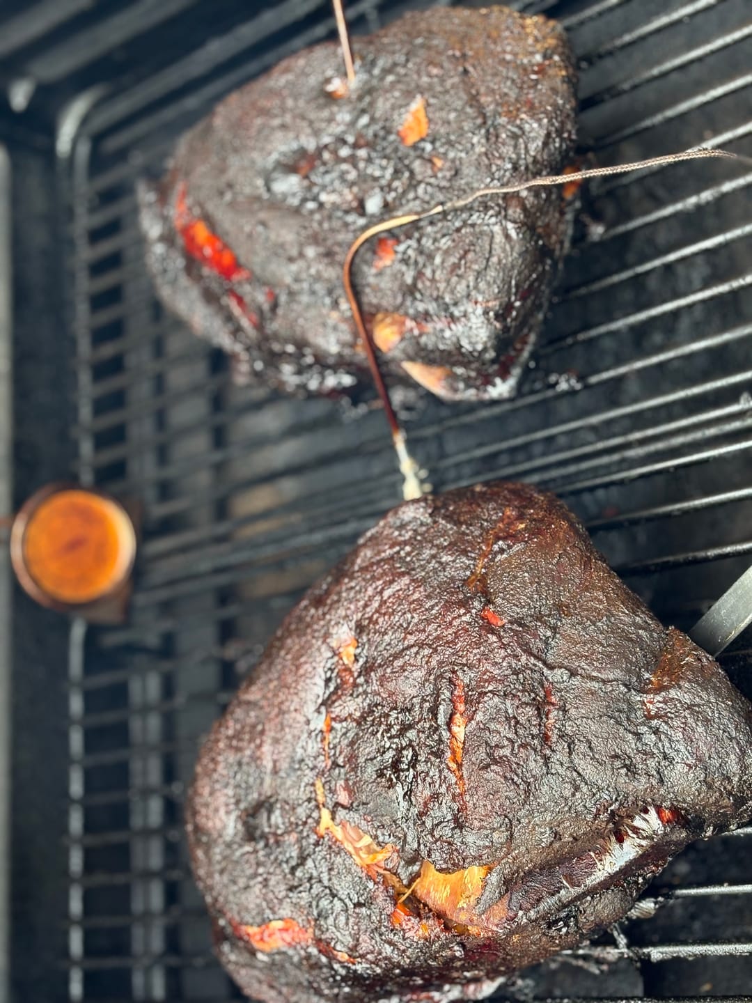 Customer photo review of USDA Choice Beef Plate Ribs (Dino Ribs) + FREE Meat Church Holy Cow BBQ Rub