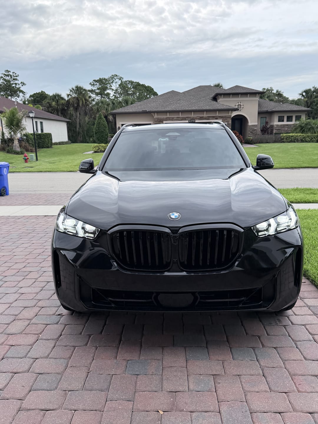 Customer photo review of M Sport Professional Style Gloss Black Shadow Line Front Ornamental Grille for BMW X5 G05 LCI (2024-2026) NevaNovo