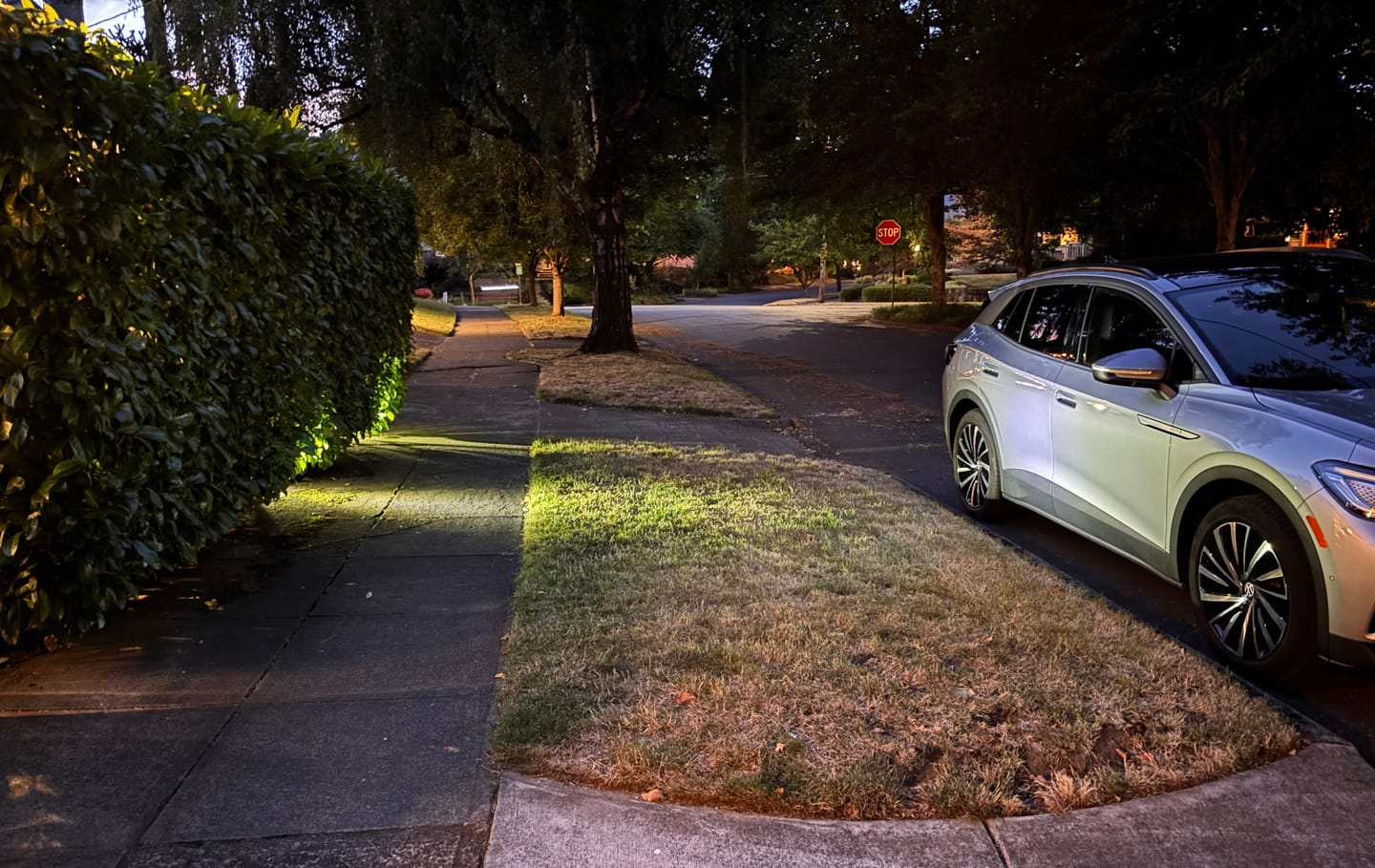 Customer photo review of TSUN LED Solar Spot Lights with Separate White