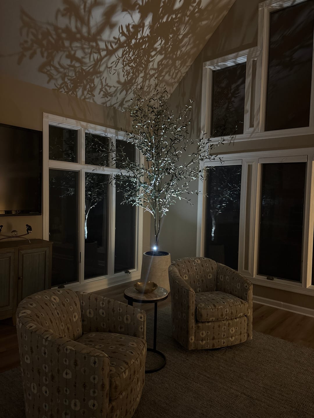 Customer photo review of LightsCordless™ RGB Rechargeable Picture Light