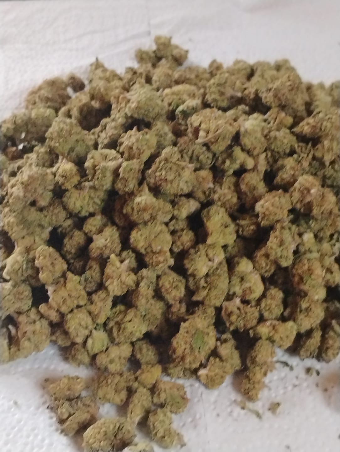 Customer photo review of Blueberry Muffins Minis - Bulk Minis - Indica