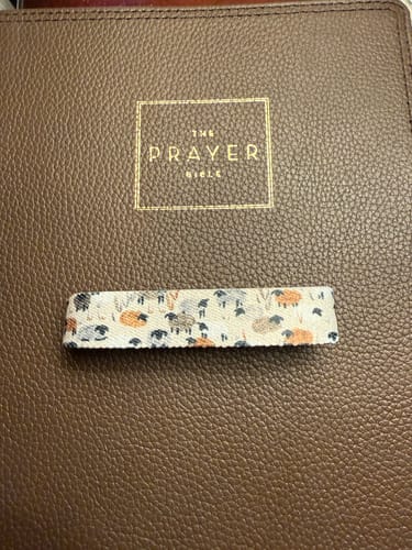 Reviewer's Lord Is My Shepherd bracelet with its sheep pattern, laid across a brown Prayer Bible.