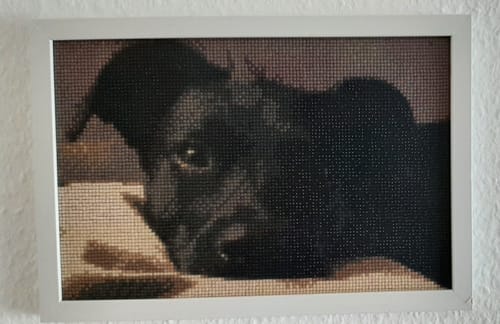 Kunde zeigt ein fertiges, gerahmtes Diamond Painting eines schwarzen Hundes, das an einer weißen Wand hängt.