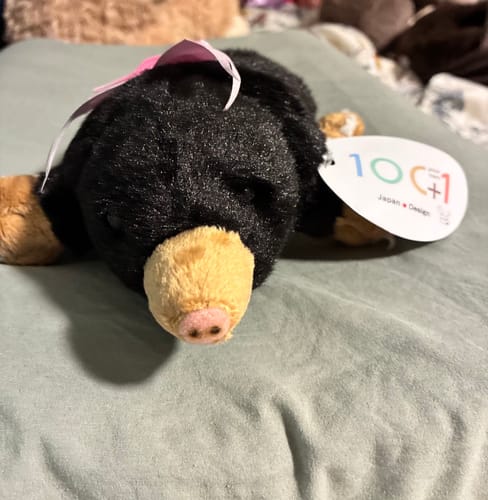 Customer photo review of Adorable Lying Mole Plush – Ultra-Soft, Realistic Design, Perfect Gift for Animal Lovers