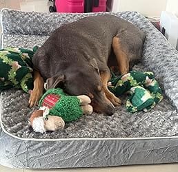 Customer photo review of The Big Loll
