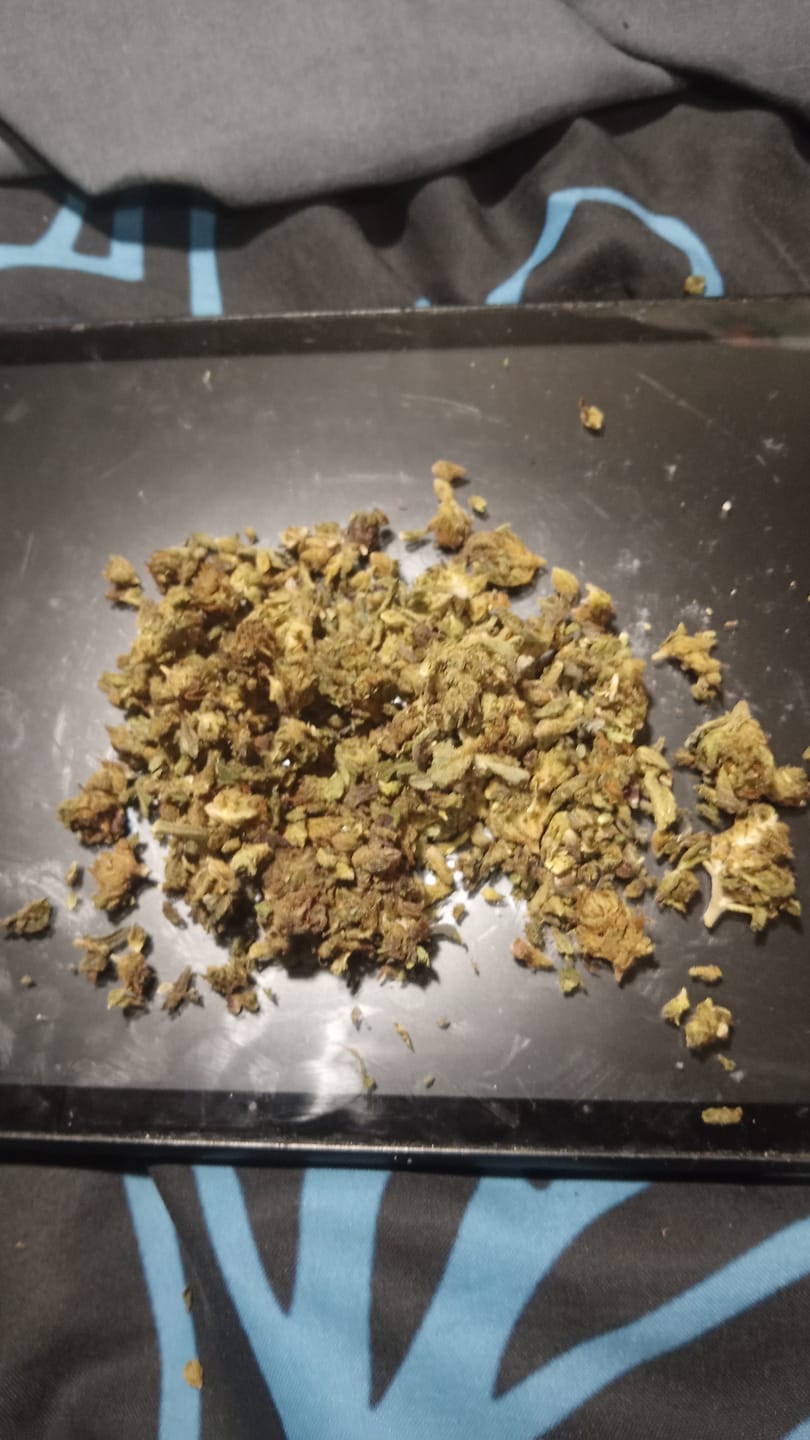Customer photo review of White Widow - 28 Grams - Hybrid