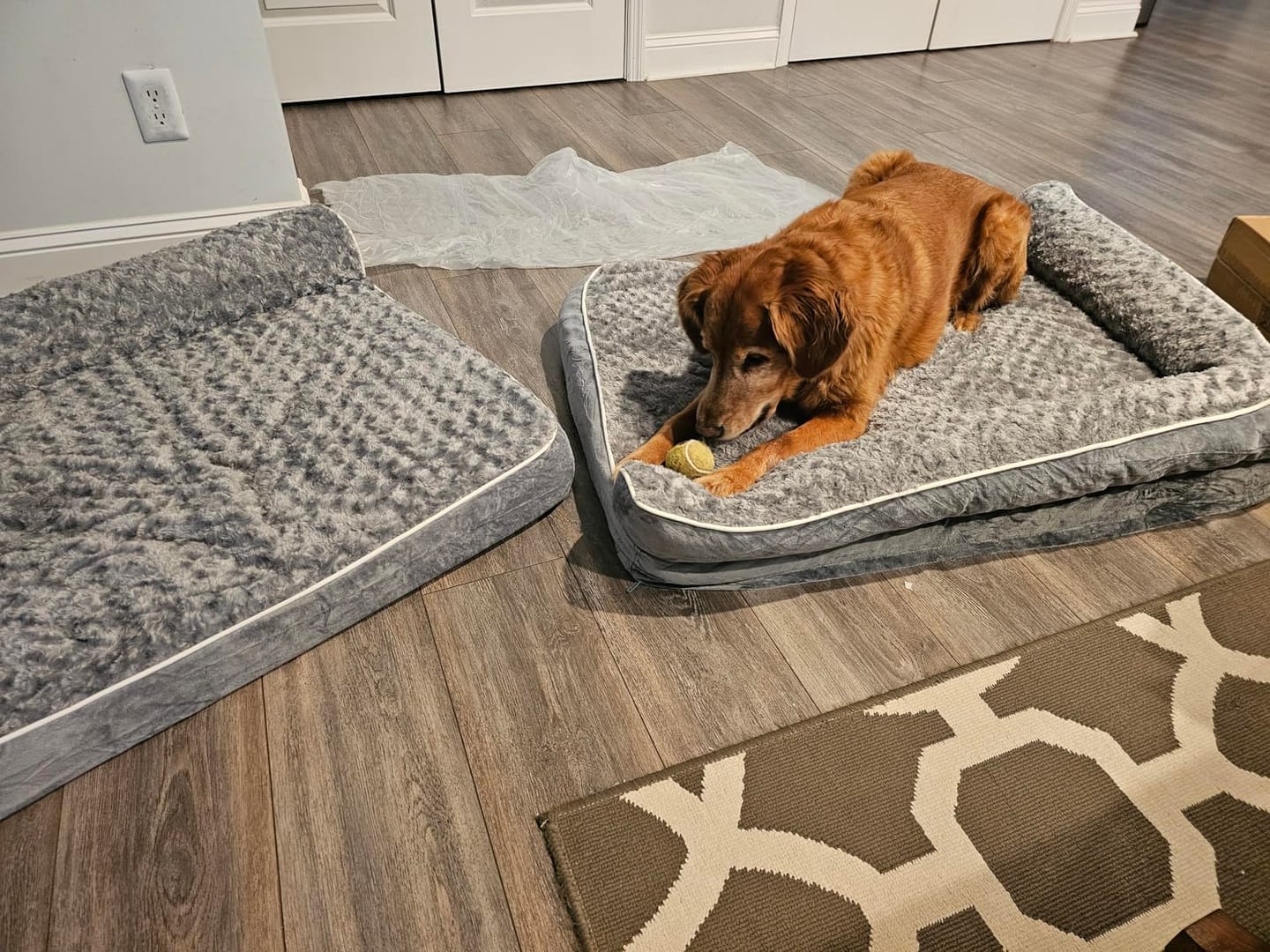 Customer photo review of The Big Loll