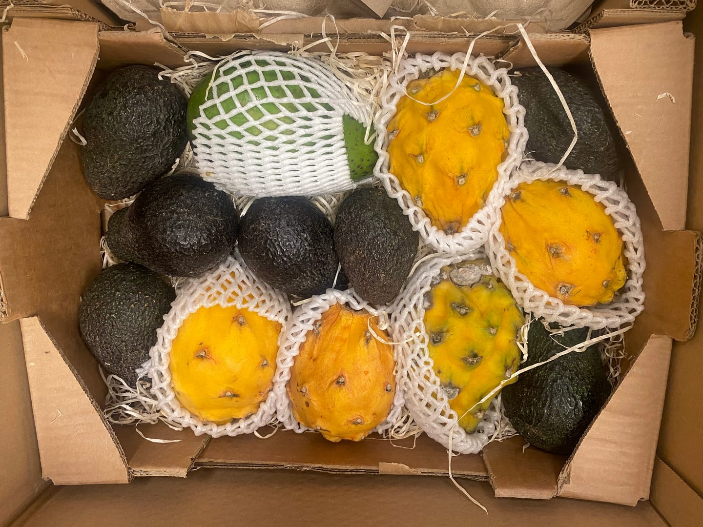 Customer photo review of Goldene Drachenfrucht Sonderaktion % 2kg