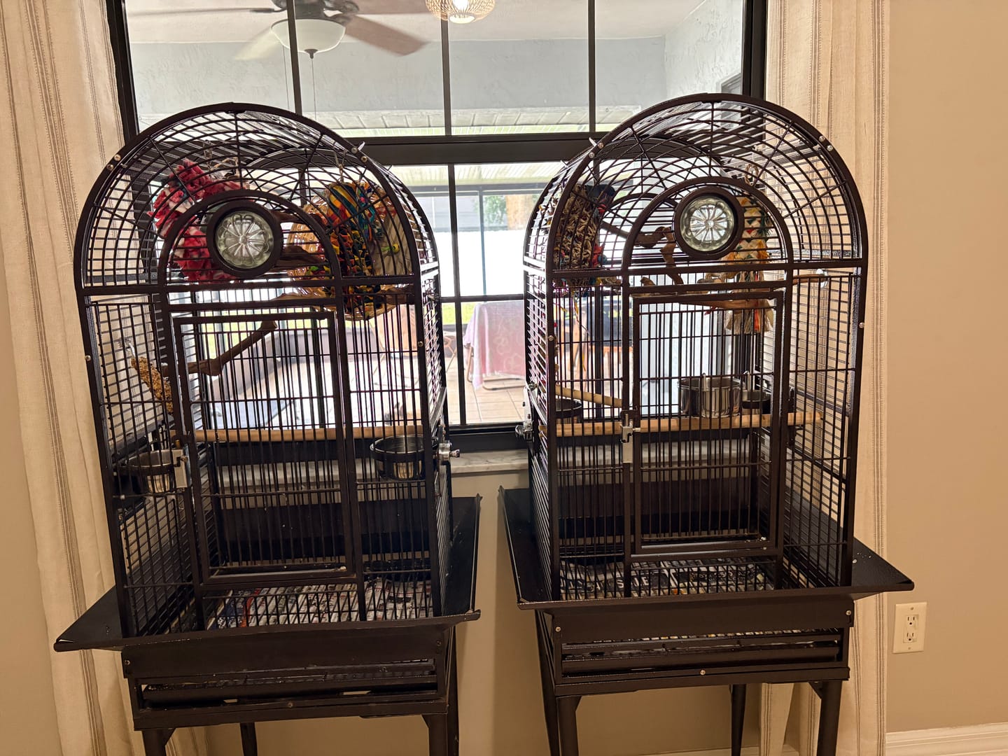 Customer photo review of Kings Cages Coppertone SLUX 1816 Bird Cage 18X16X57