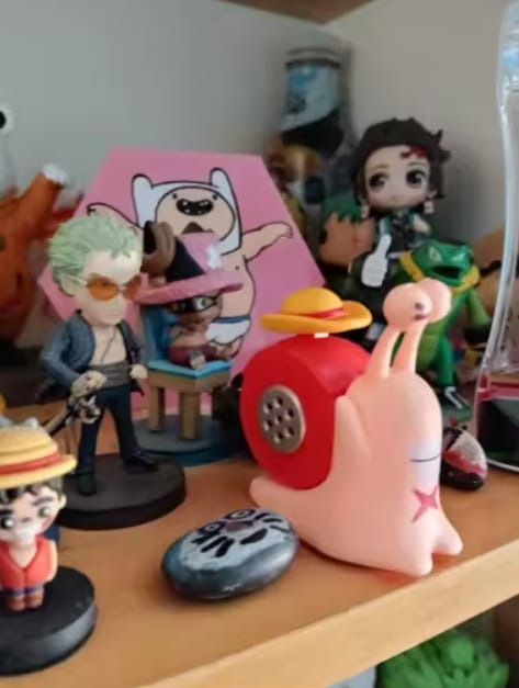 Customer photo review of Mushi Voice Grabadora