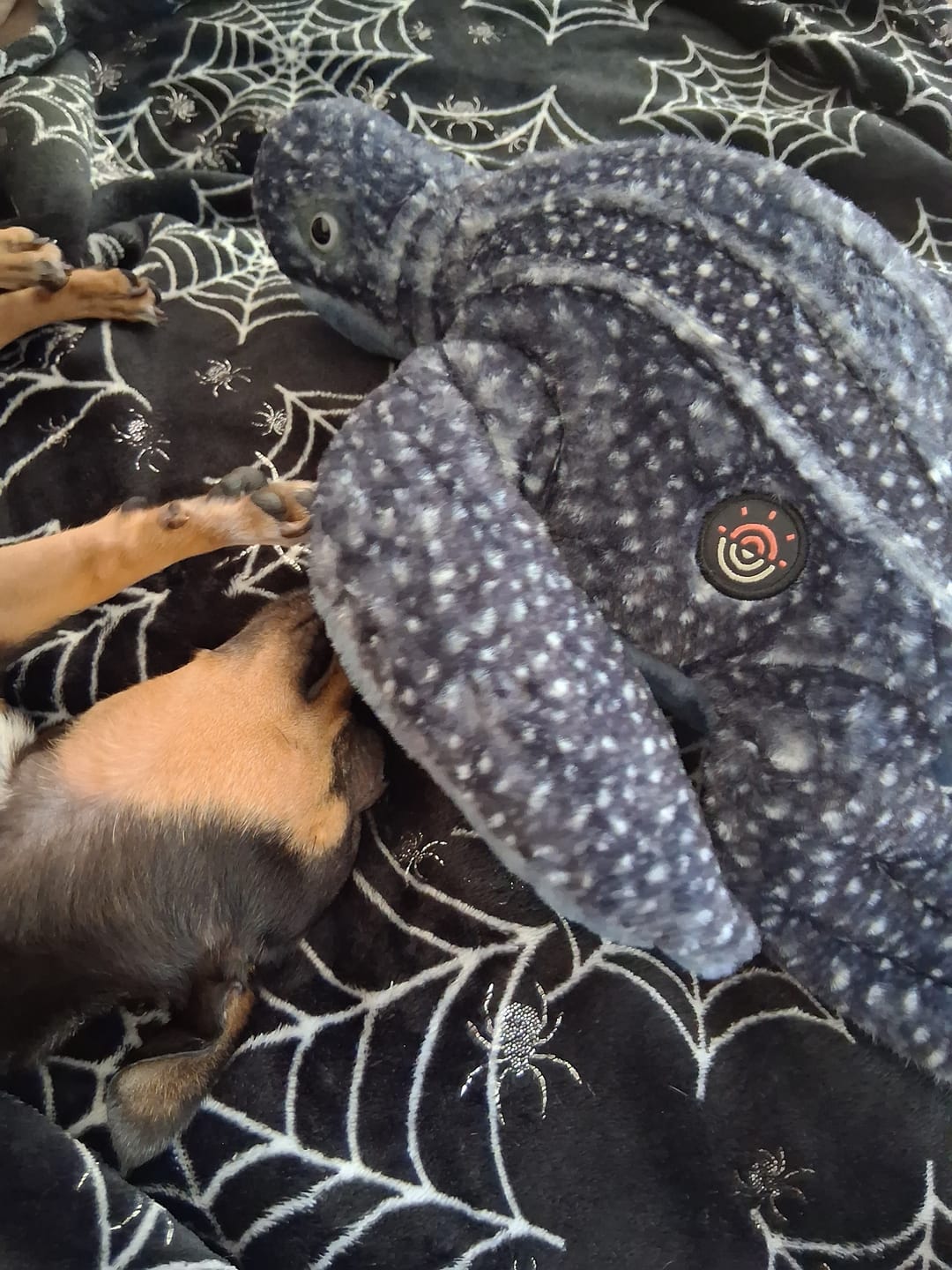 Customer photo review of The Journey Plush - Leatherback