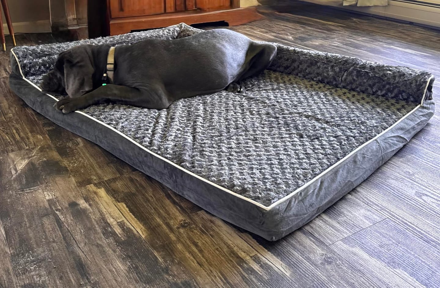 Customer photo review of The Big Loll