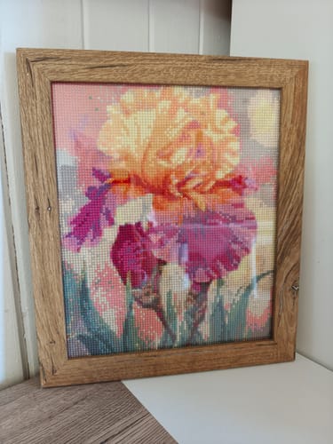 Rezensent zeigt das fertige Diamond-Painting-Bild 'Blume', das eine gelbe und rosa Blüte in einem Holzrahmen darstellt.