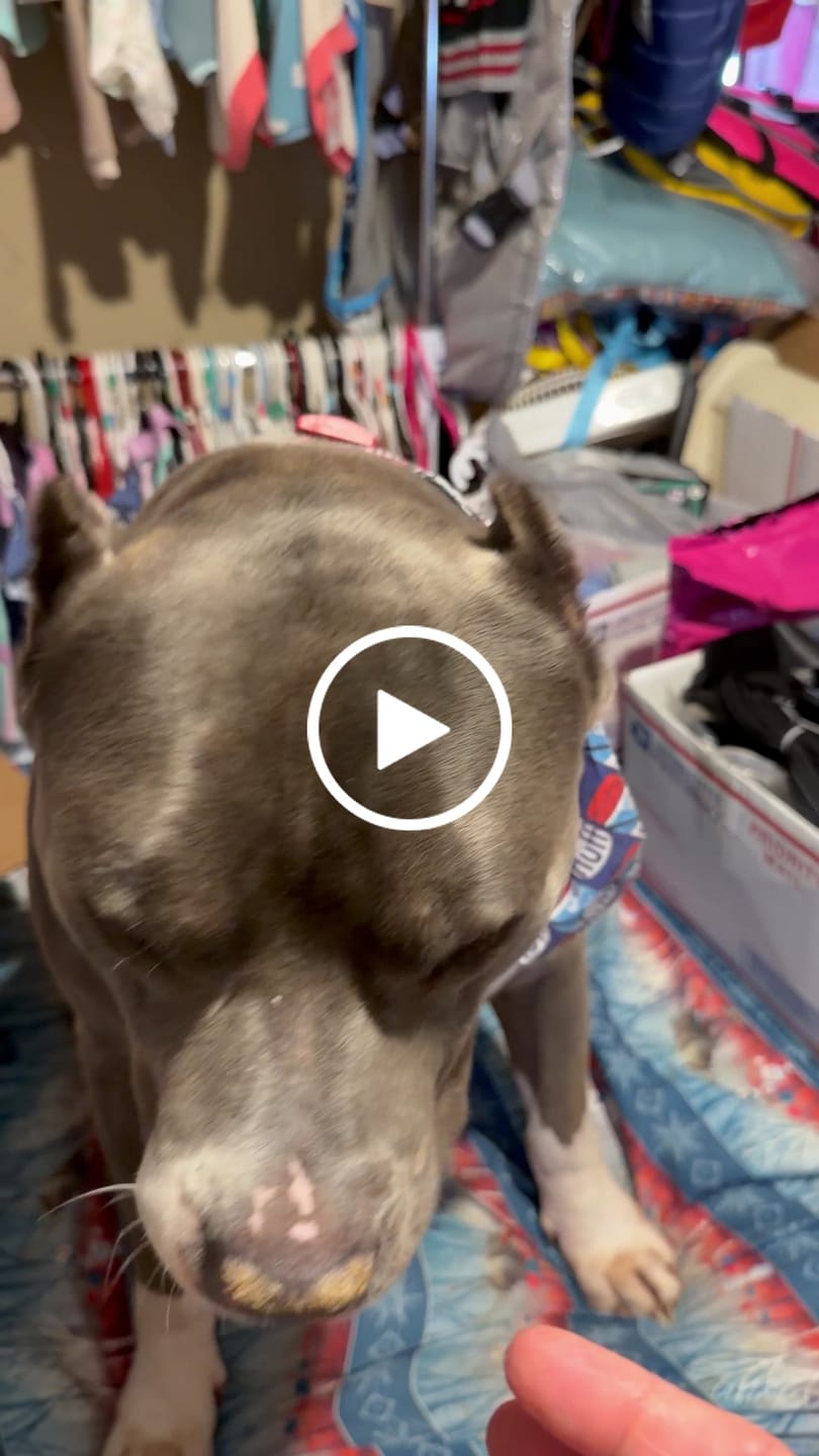 Customer video review of Mystery Gift