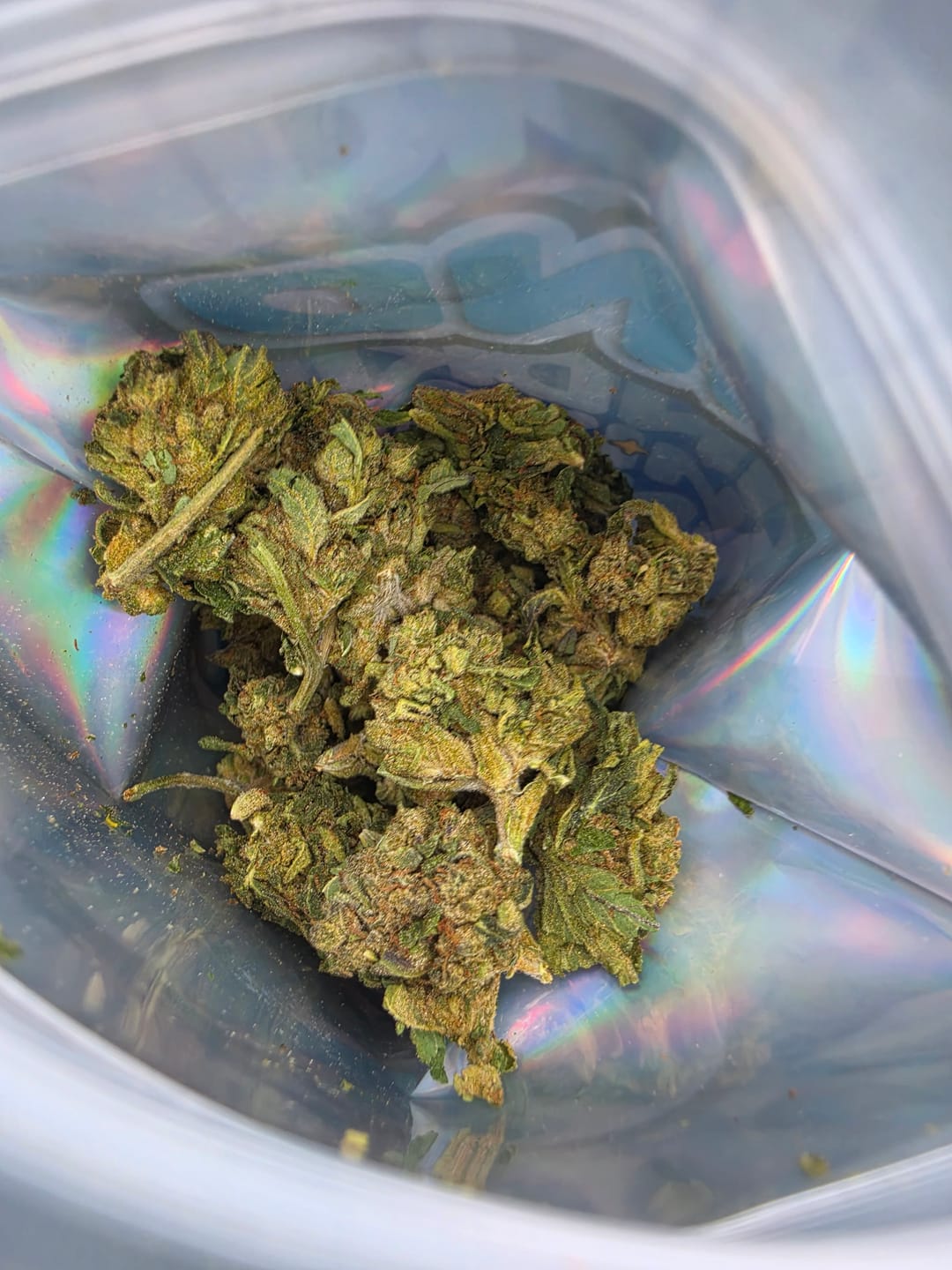 Customer photo review of Hella Jelly - 28 Grams - Sativa