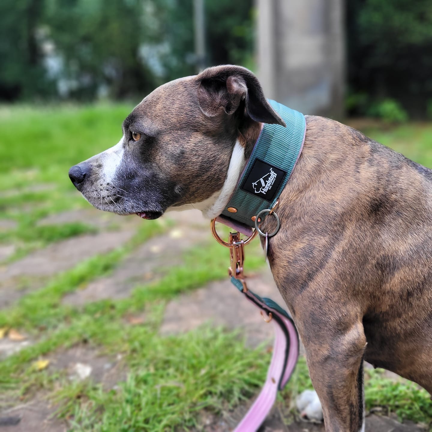 Customer photo review of Active Komfort Rose Edition Pastel Green - Brett slitstarkt halsband med spänne