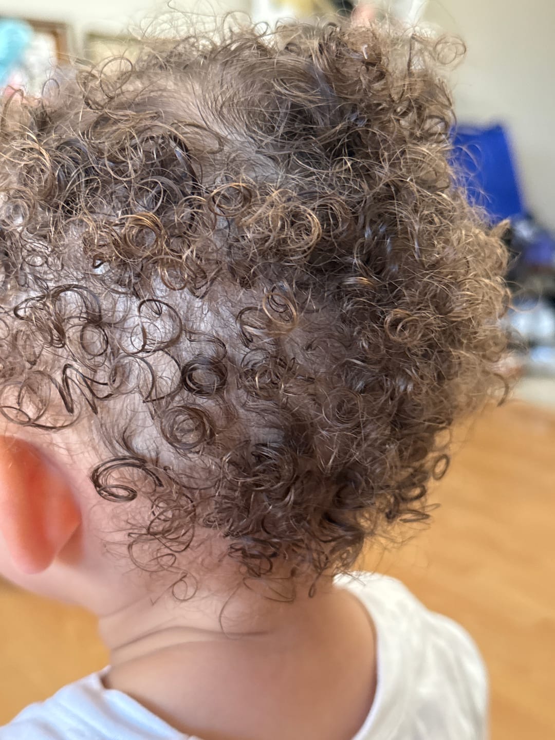 Customer photo review of Nourishing Baby Detangler Spray