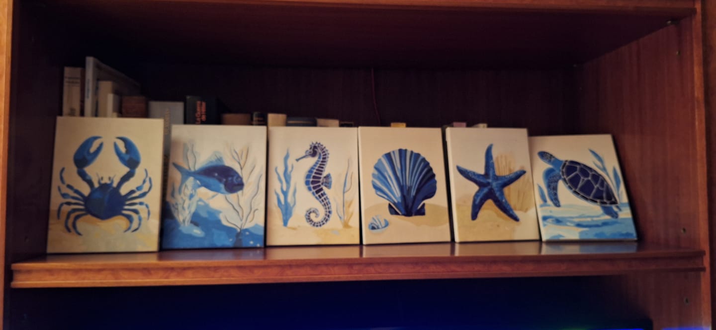 Customer photo review of 6 Mini Paintings - Under The Sea Set