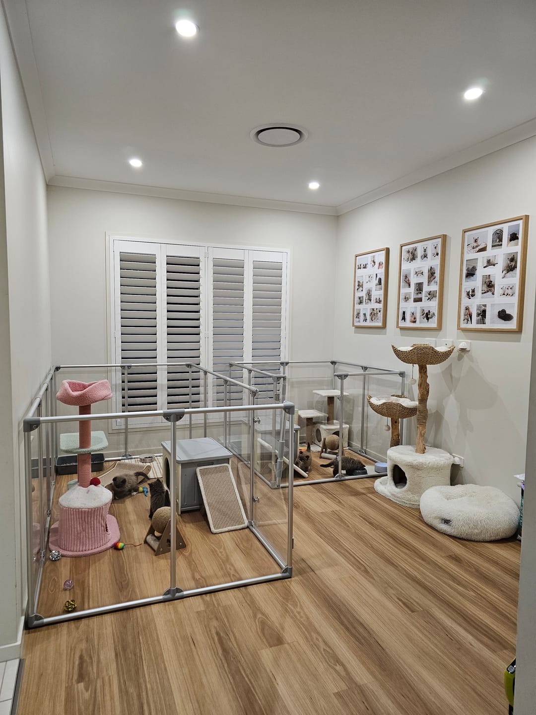 Customer photo review of 36" (91 cm) Tall Medium Lucidium Pet Pen.