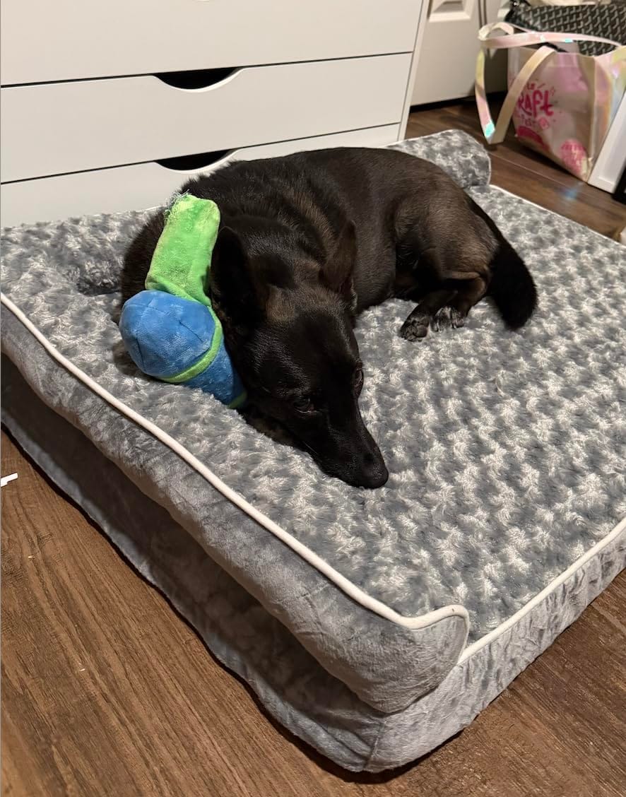 Customer photo review of The Big Loll