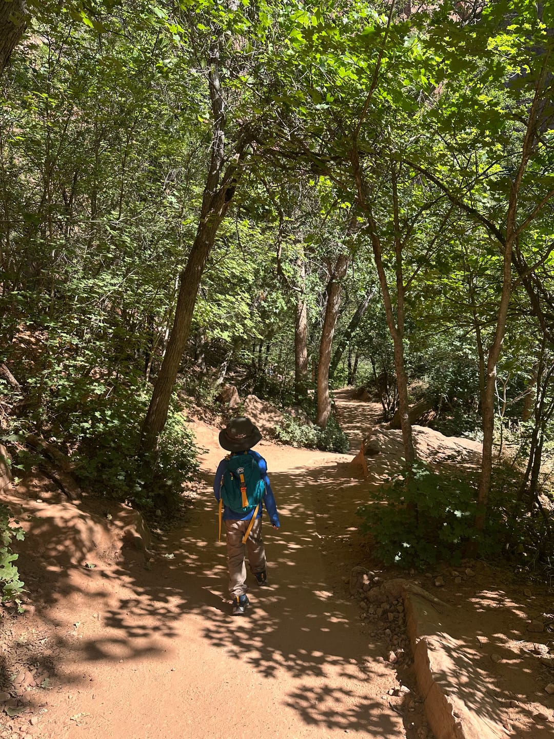 Customer photo review of "Little Explorer" Hiking Backpack | Hydration Ready | Ages 2-7