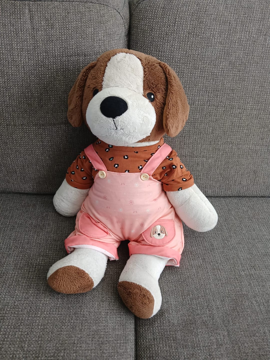 Customer photo review of Hond Kleding Lente Lotgenootje