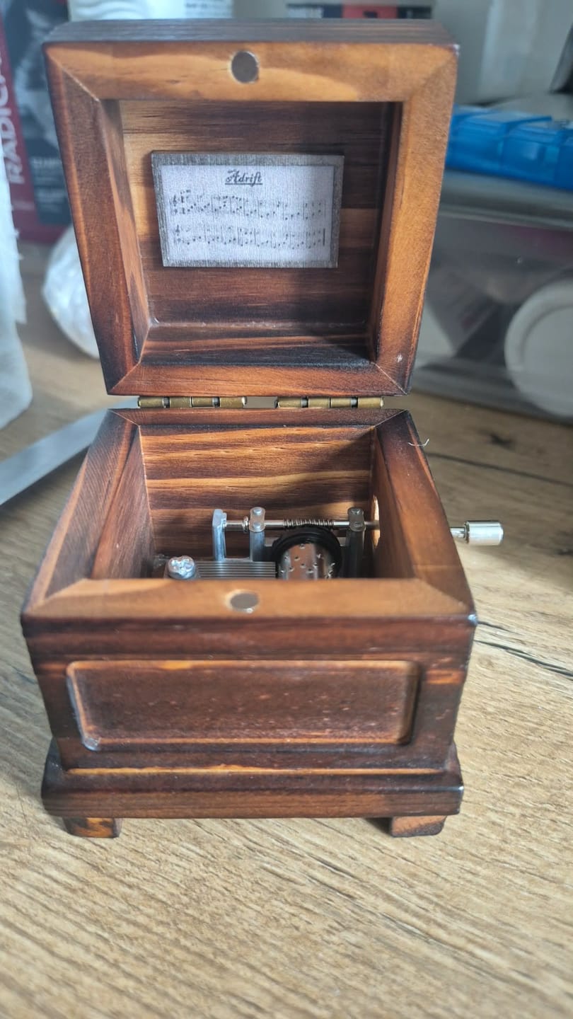 Customer photo review of Phasmophobia Music Box