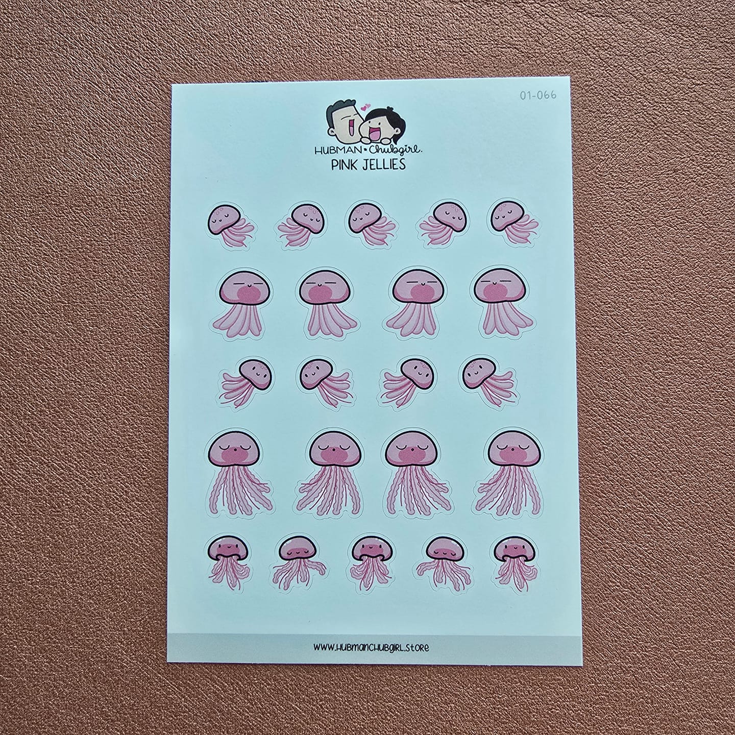 Customer photo review of Pink Jellies Planner Stickers