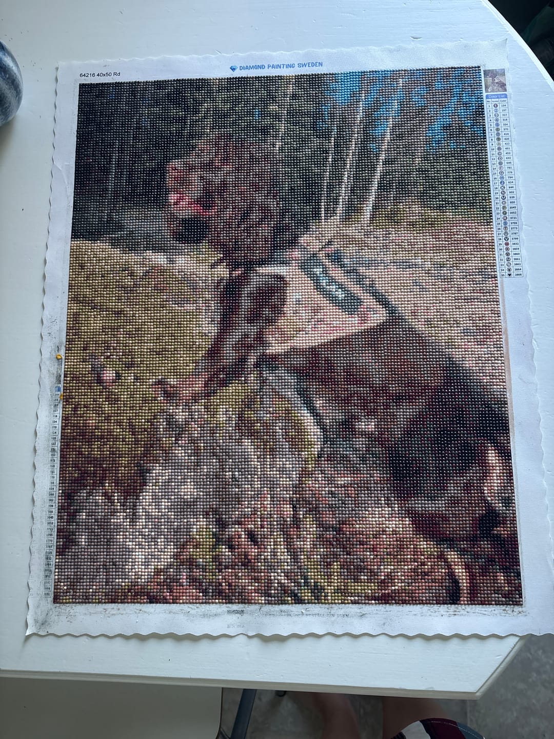 Customer photo review of Eget Foto Diamond Painting
