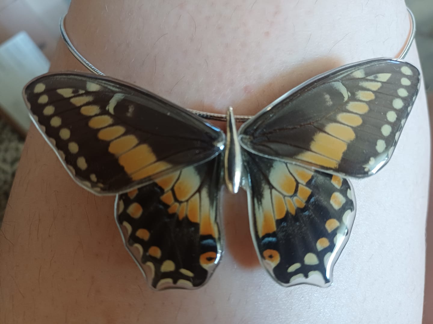 Customer photo review of Gargantilla Mariposa Papilio Polyxenes entera 4 alas