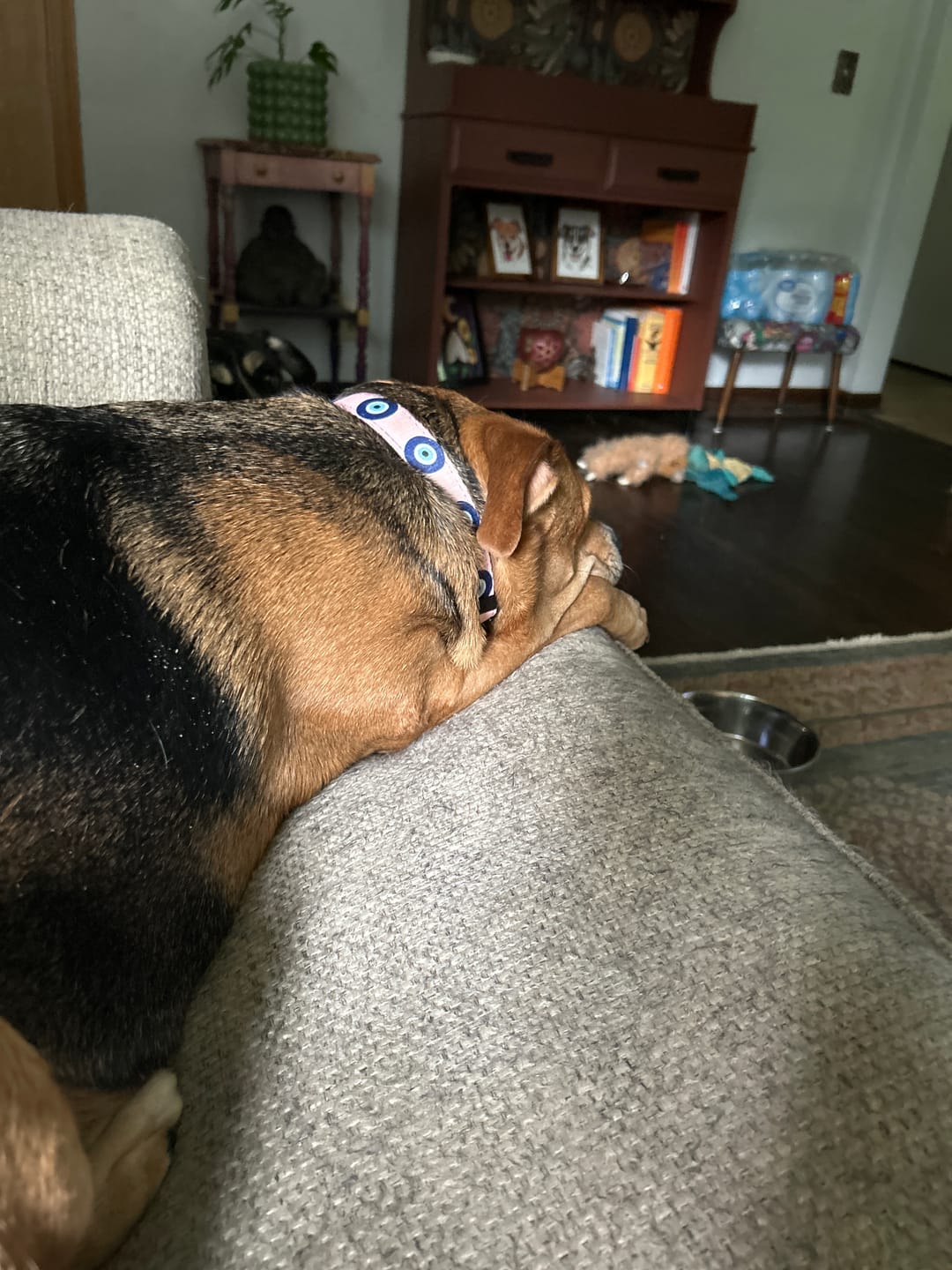Customer photo review of Evil Eye Dog Leash and Collar Set - Pink