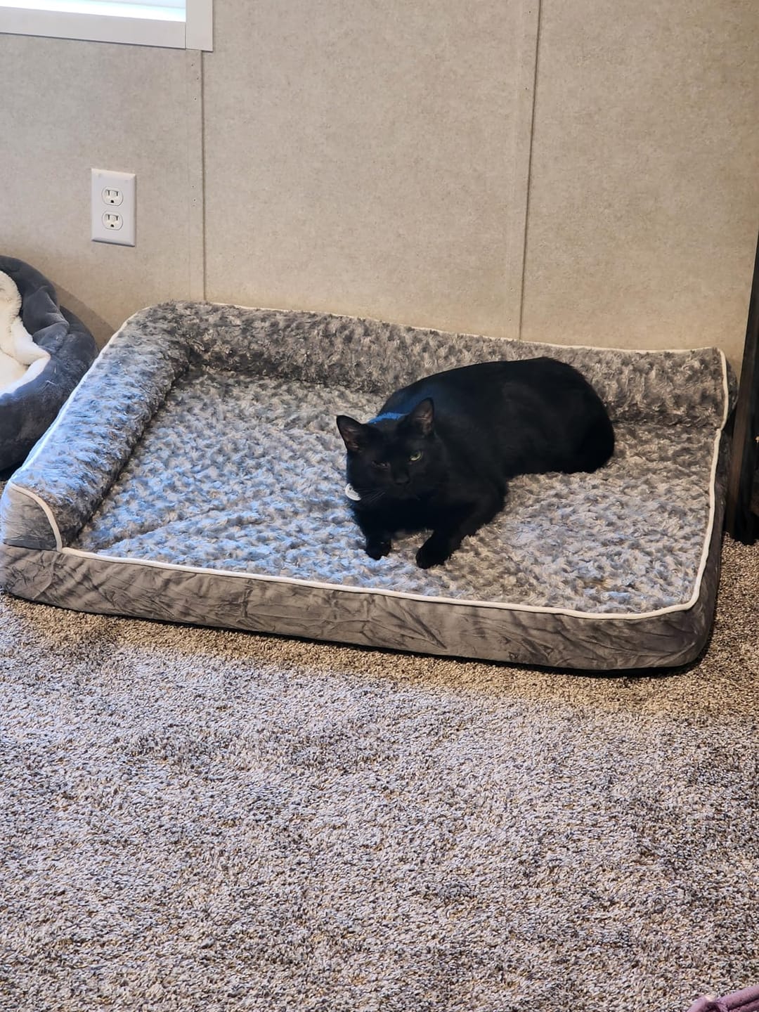 Customer photo review of The Big Loll