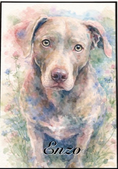 Customer photo review of Watercolor - Personalized Poster