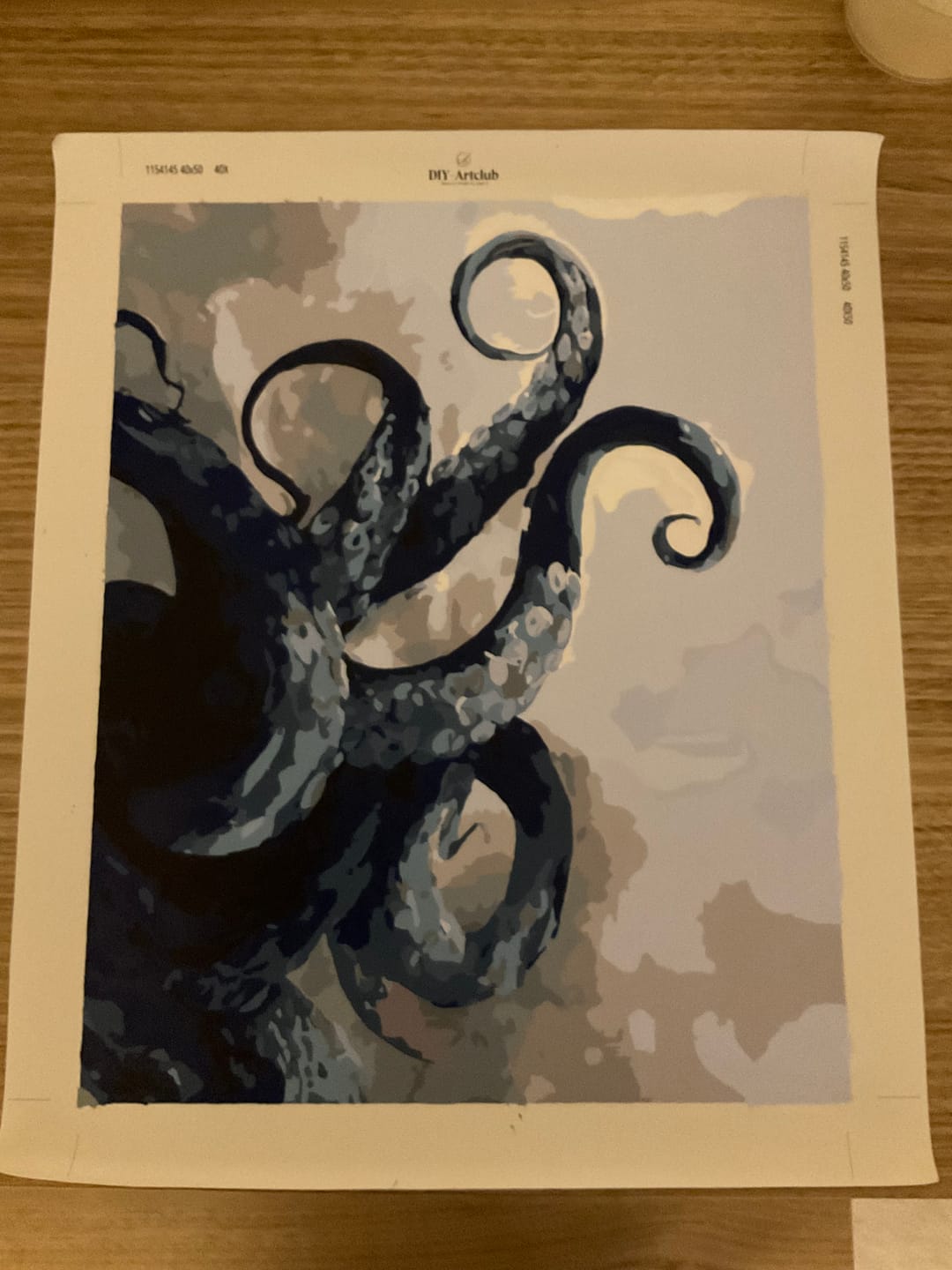 Customer photo review of Tentacles | Paint by Number