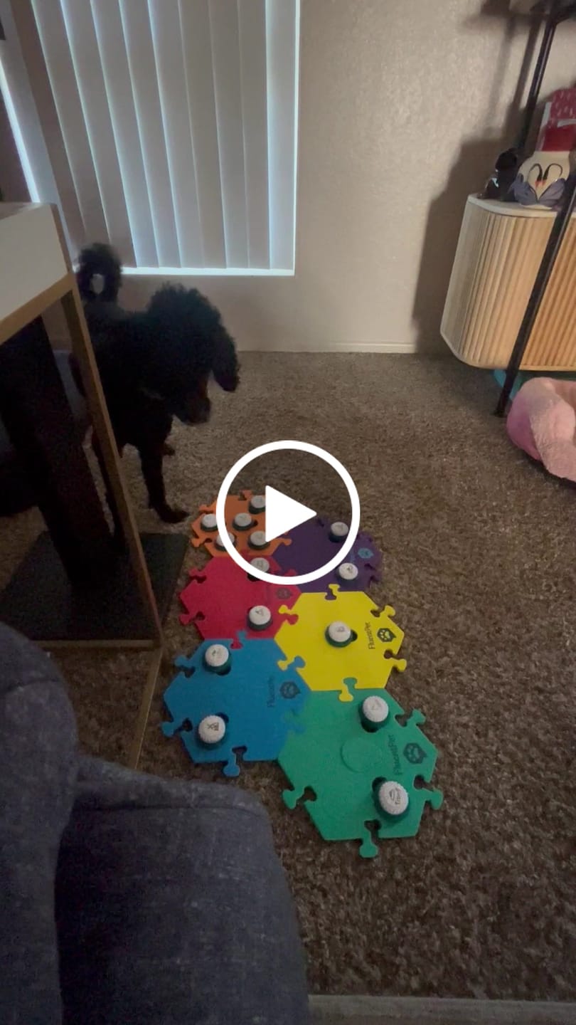 Customer video review of Speak Up! Button Multipacks
