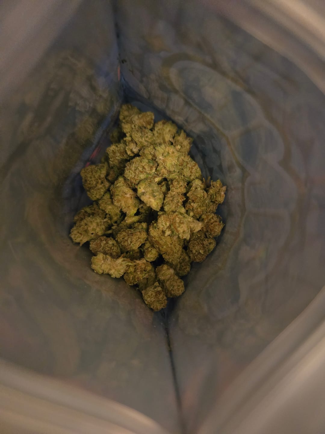 Customer photo review of Gummies - Minis - 28 Grams - Hybrid