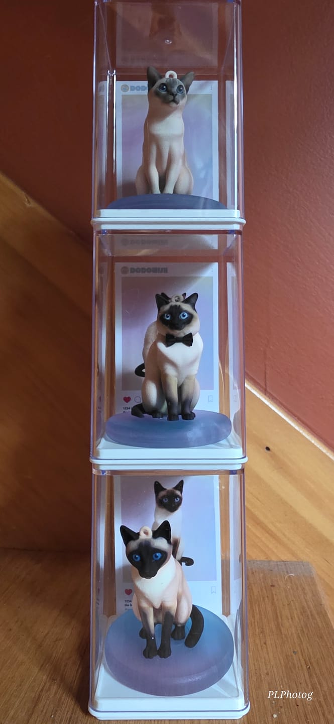 Customer photo review of Custom Chibi Figure Keychain - Personalized 3D Photo Miniature