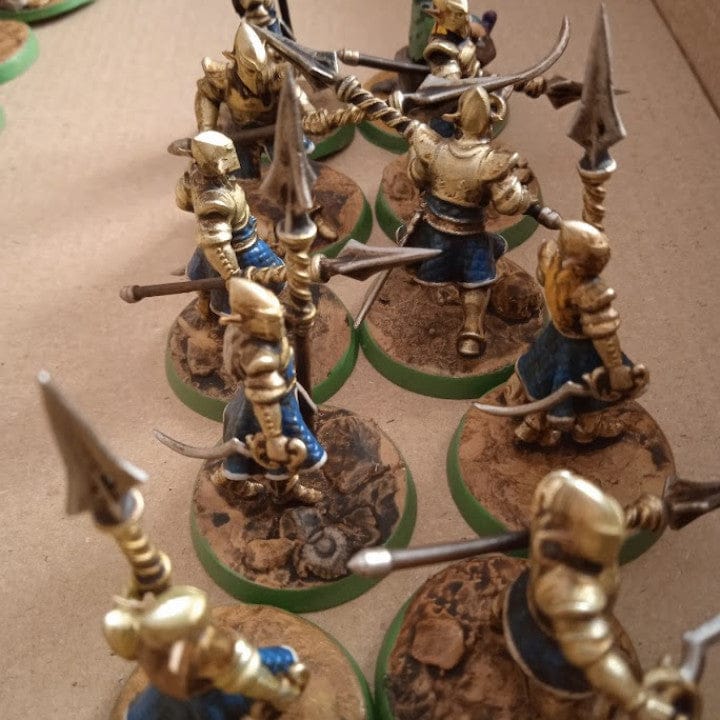 Customer photo review of Elves Tallspears Regiment