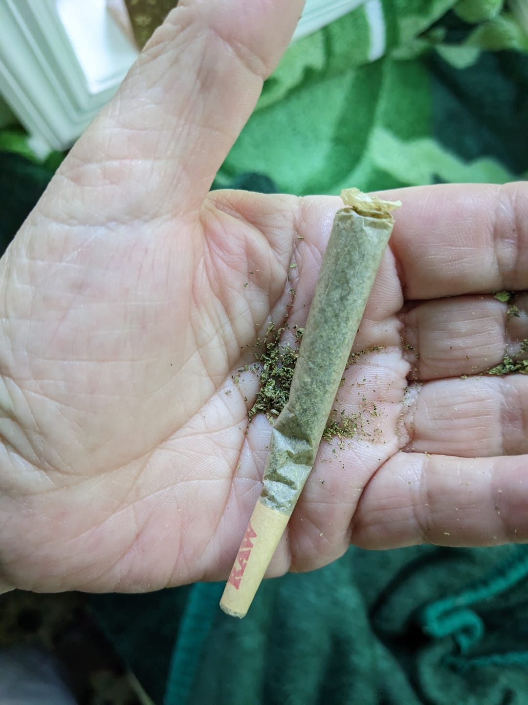 Customer photo review of Top Shelf Pre Rolls