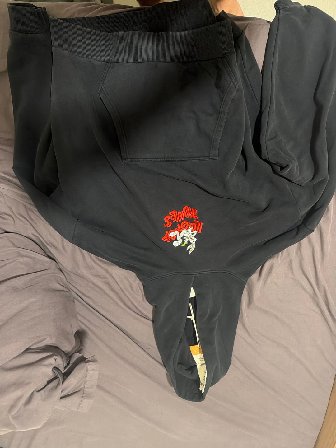 Customer photo review of 5114 - Looney Tunes Embroidered Hoodies