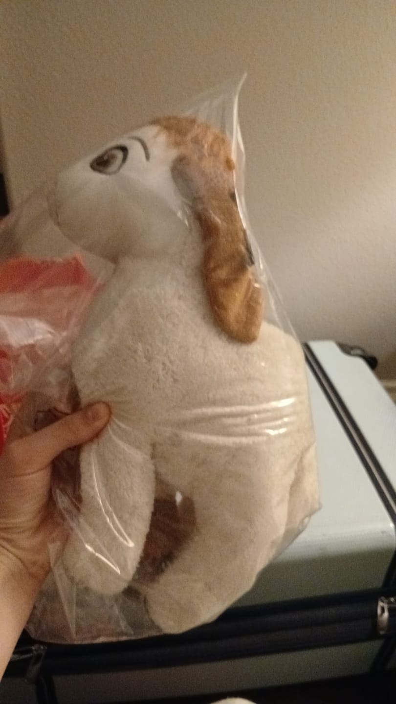 Customer photo review of Package Protection