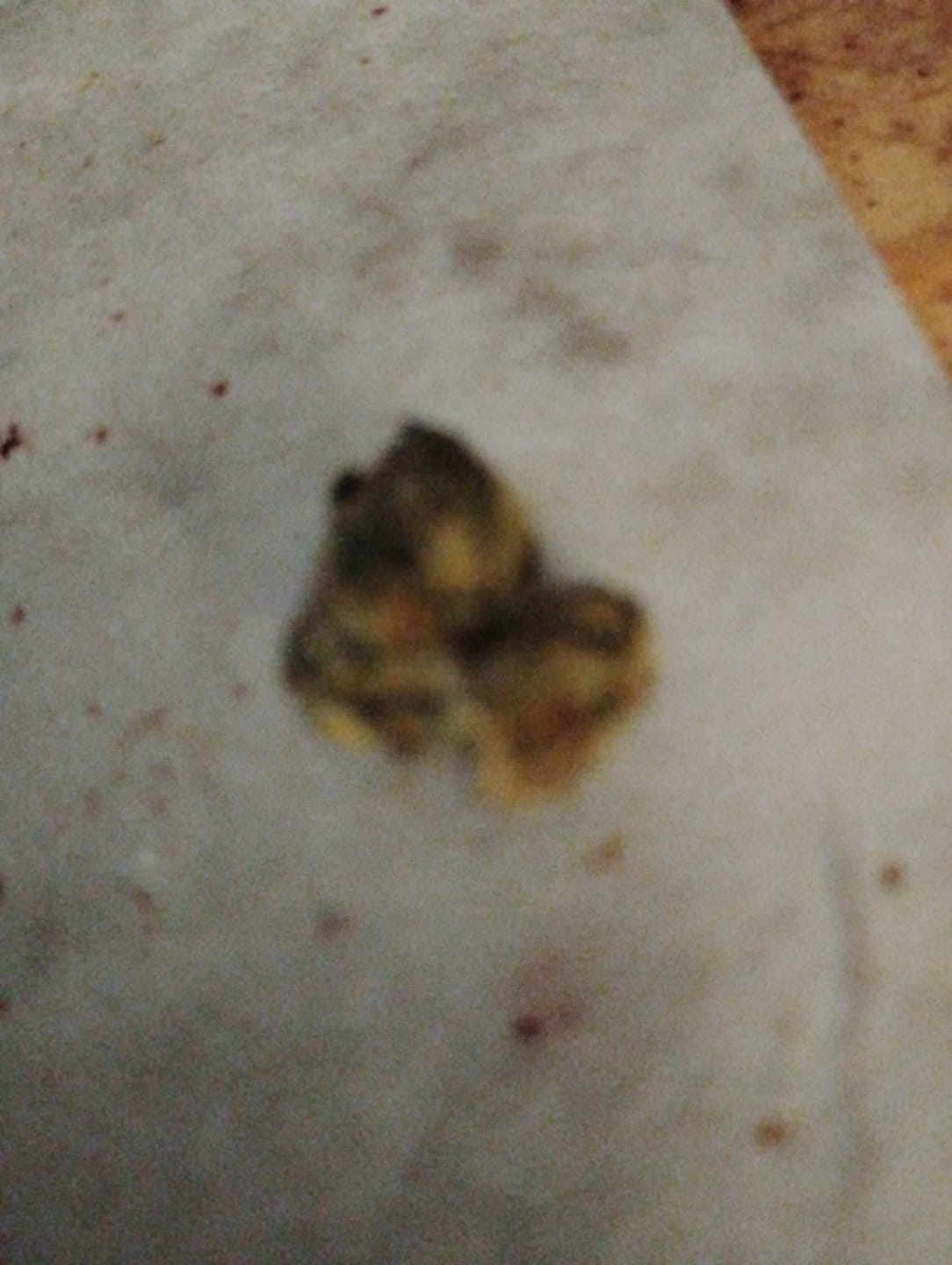 Customer photo review of Biscotti Cake - 28 Grams - Hybrid