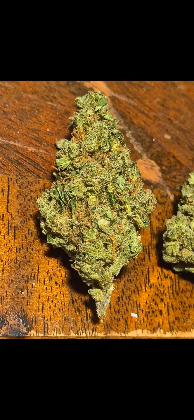 Customer photo review of Cereal Milk THCA Flower (Budget)