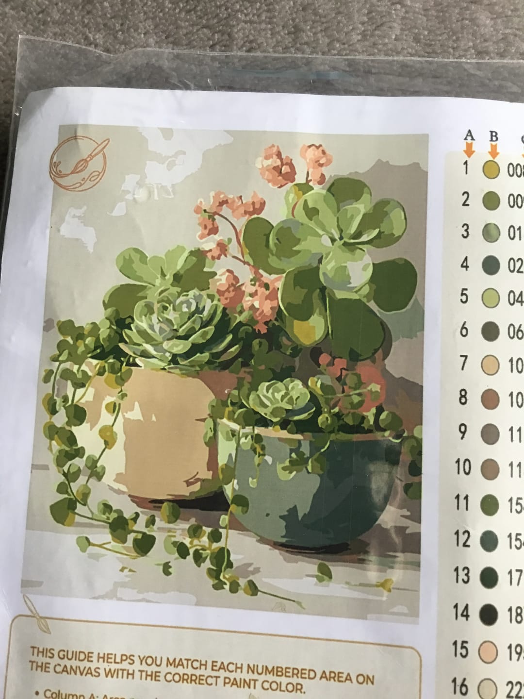 Customer photo review of Spring Succulents | Paint by Number
