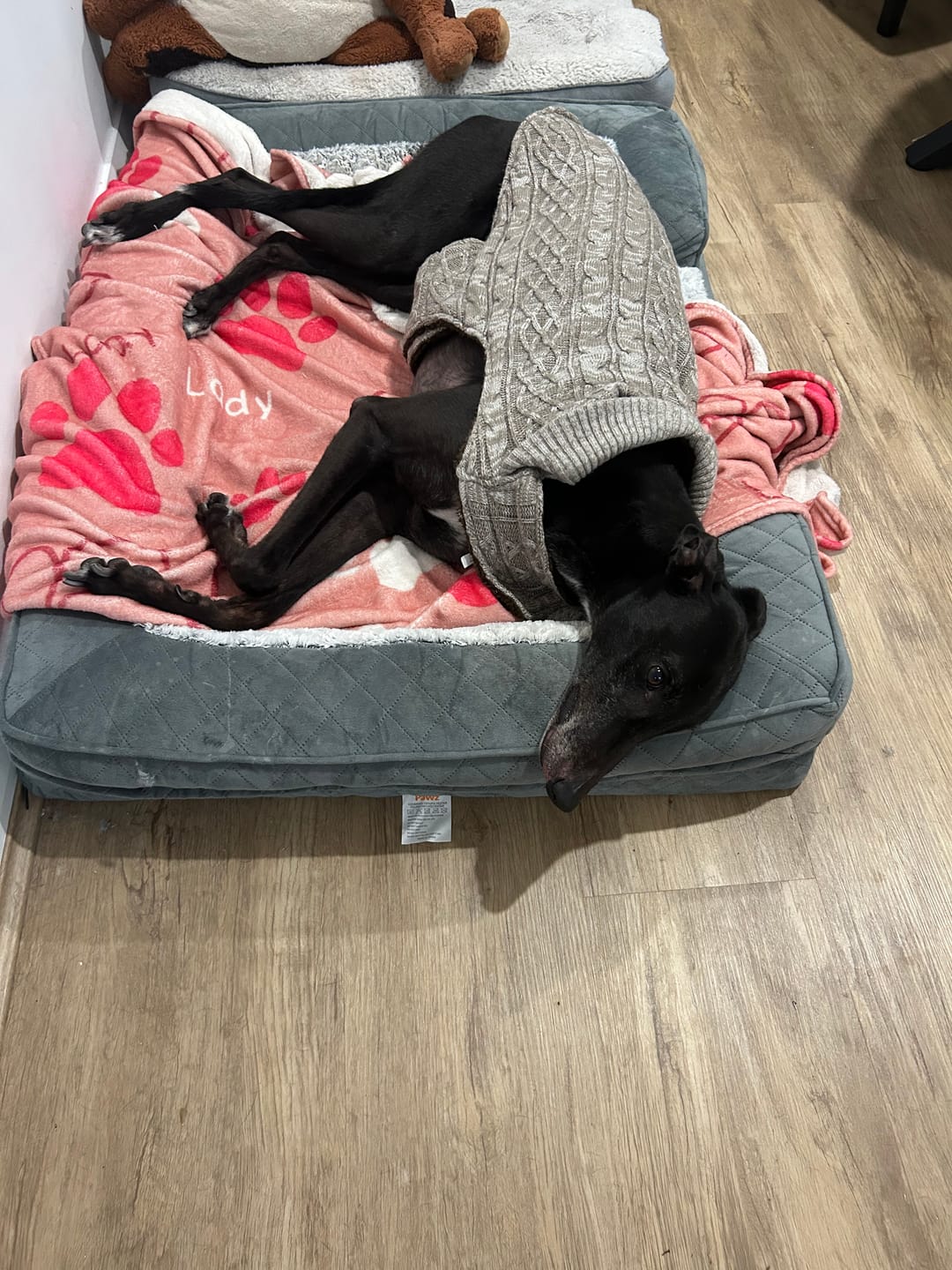 Customer photo review of Orthopedic Memory Foam Dog Bed